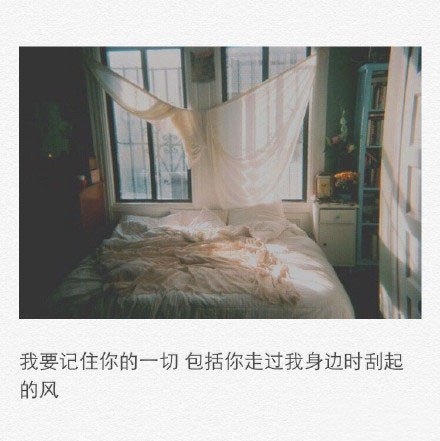 少了一种重要的情愫，疯狂也那么无助