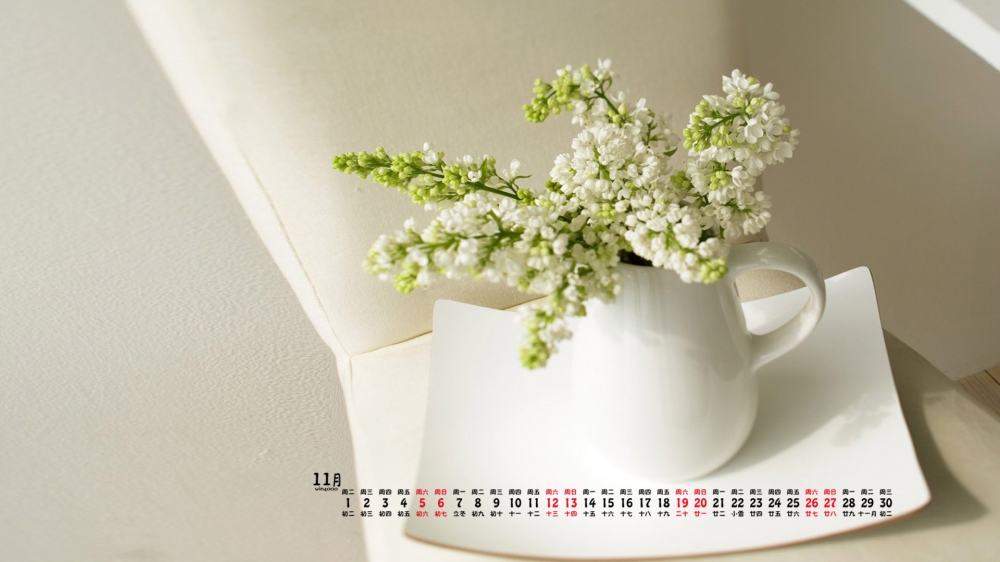 2016年11月日历简约室内花卉桌面壁纸