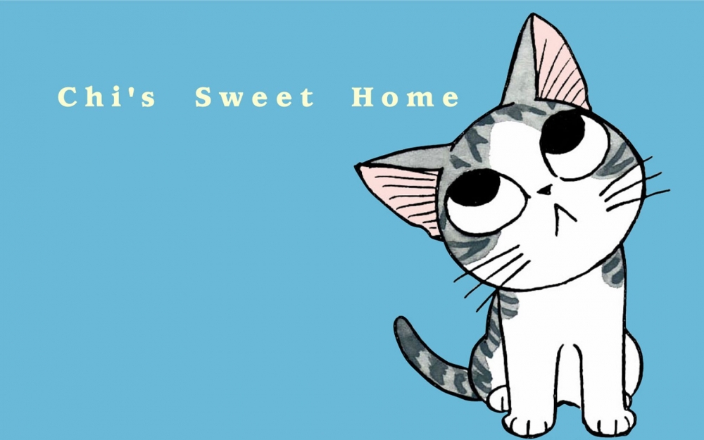 甜甜私房猫,起司猫高清卡通壁纸