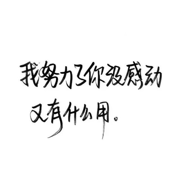 我努力了你没感动又有什么用
