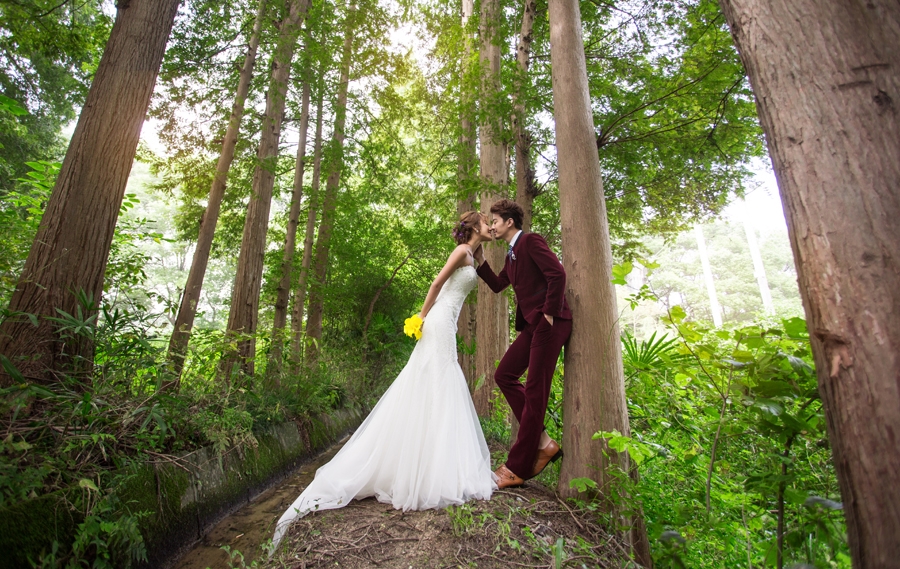 爱情森林 婚纱照