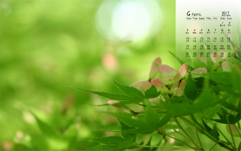 2017年4月小清新护眼风景日历壁纸