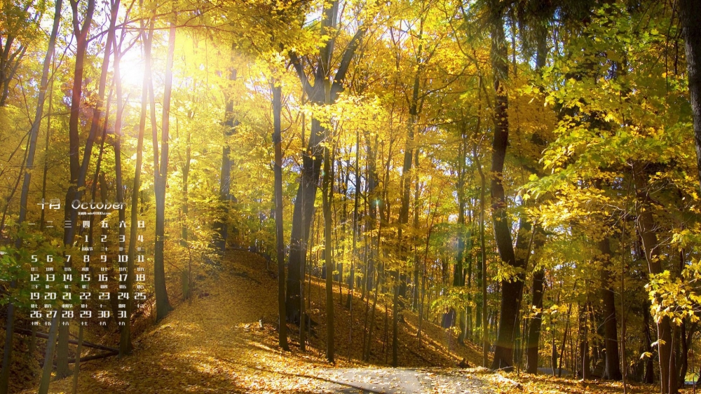 2015年10月日历梦幻森林自然风景图片桌面壁纸下载5