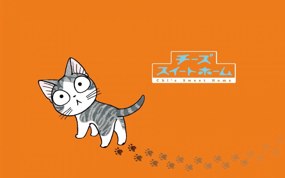 甜甜私房猫,起司猫高清卡通壁纸