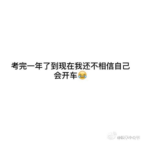学驾照的一些有趣体验