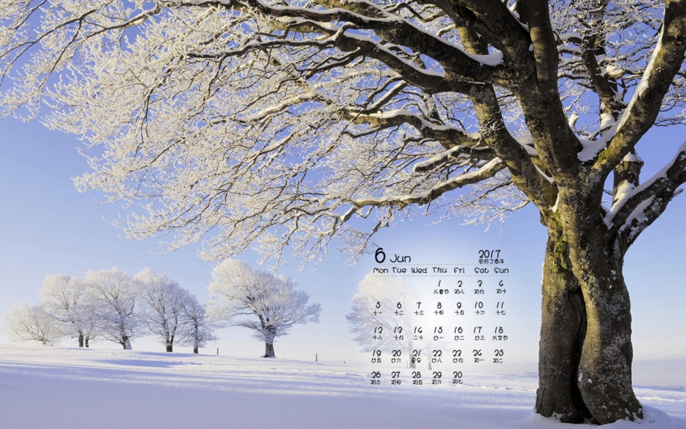 2017年6月唯美冬日雪景摄影清新高清桌面日历壁纸