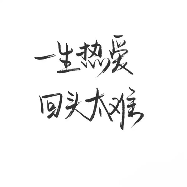 我努力了你没感动又有什么用