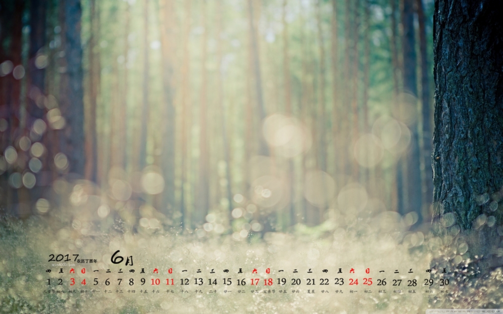 2017年6月唯美冬日雪景摄影清新高清桌面日历壁纸