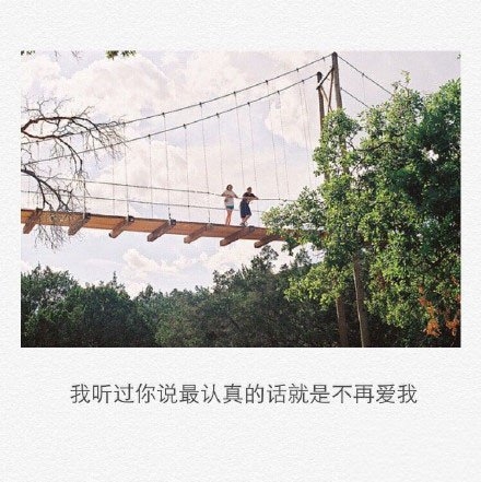 少了一种重要的情愫，疯狂也那么无助