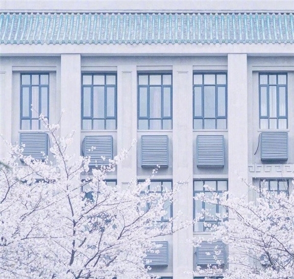 樱花图片大全大图唯美2018 最美樱花图片大全真实风景