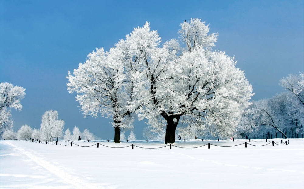 精选冰天雪地的唯美风景高清图片
