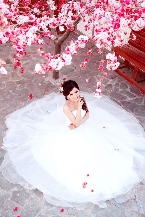 婚纱 美