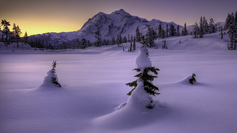 精选好看的冬季自然风光雪景高清图片素材桌面壁纸下载第二辑