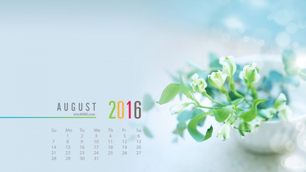 2016年8月日历唯美清新淡雅的花图片电脑桌面壁纸下载