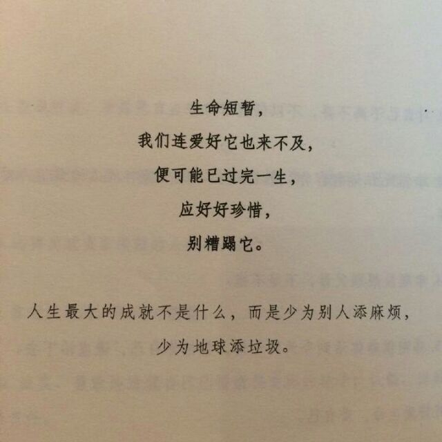 愿你此生尽兴 赤诚善良