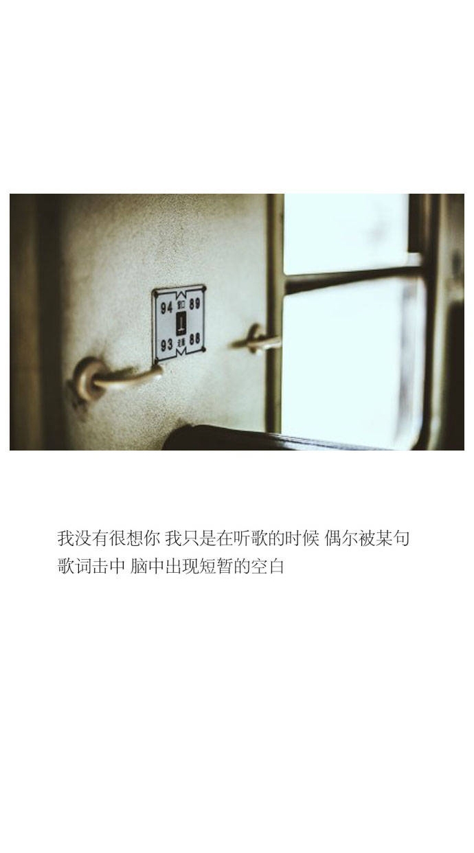 花儿、拥抱