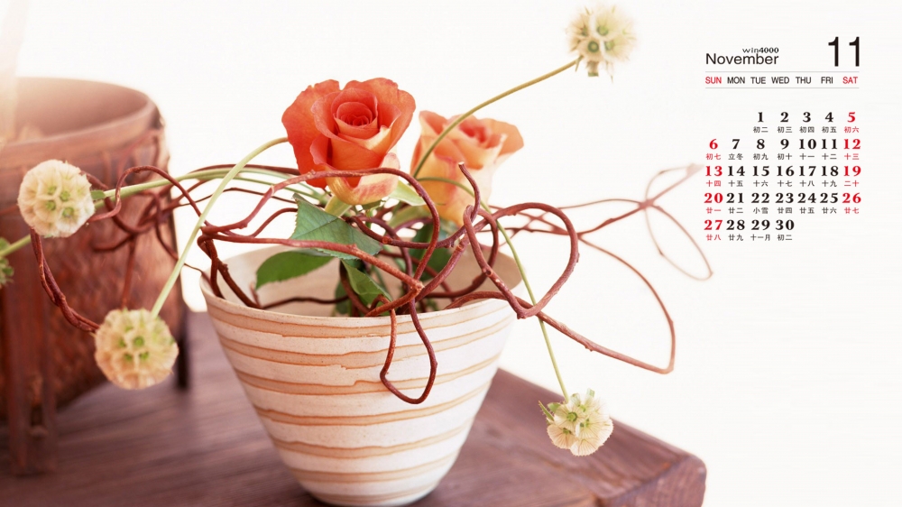 2016年11月日历简约室内花卉桌面壁纸