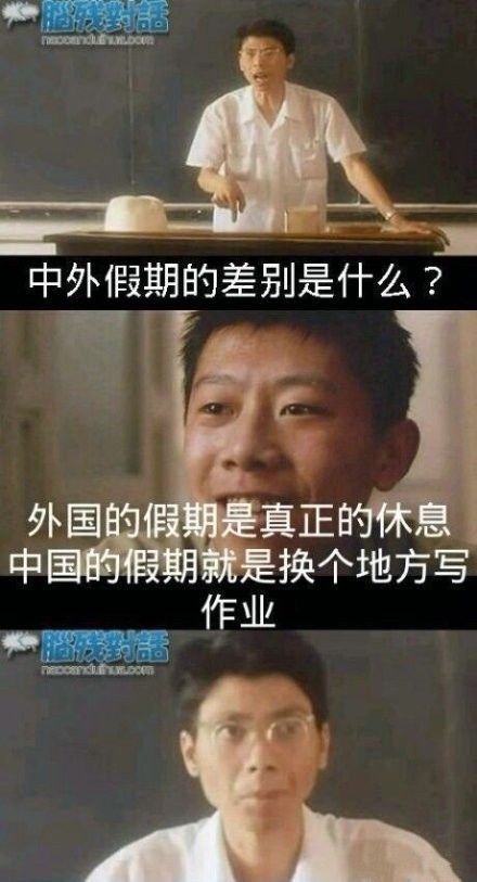 冯小刚和夏雨搞笑神回复