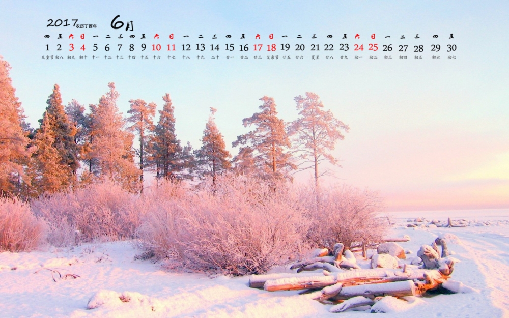 2017年6月唯美冬日雪景摄影清新高清桌面日历壁纸