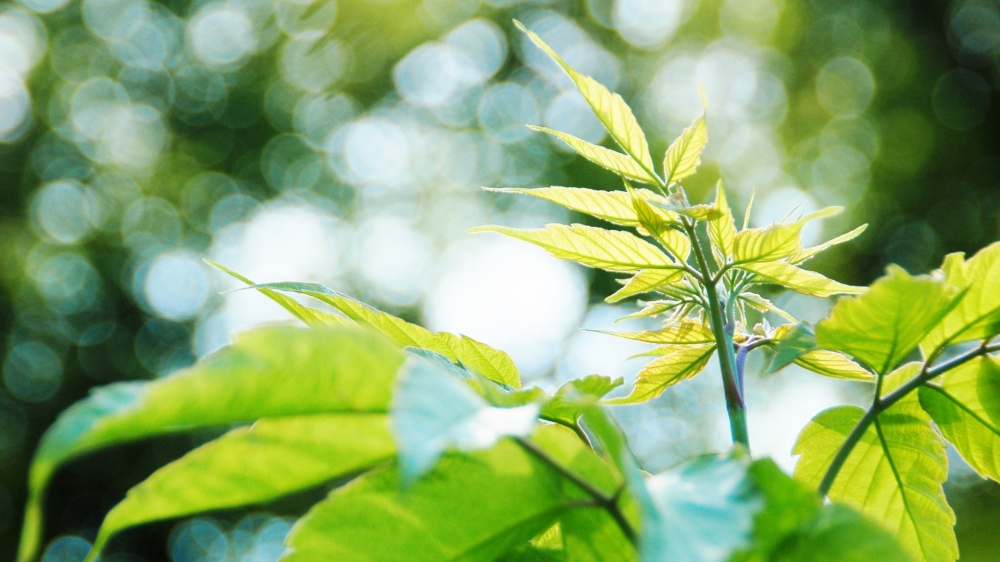 震撼的自然风景电脑壁纸