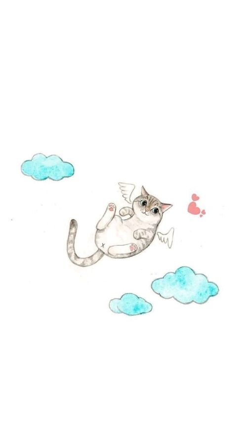 喵、