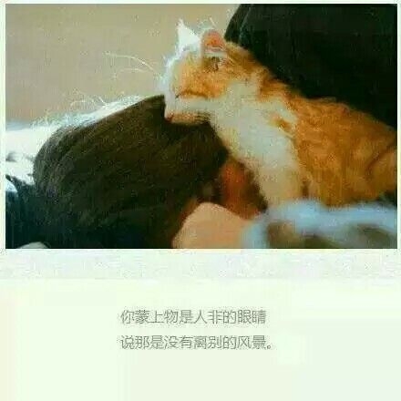 我眼里有你不知道的风