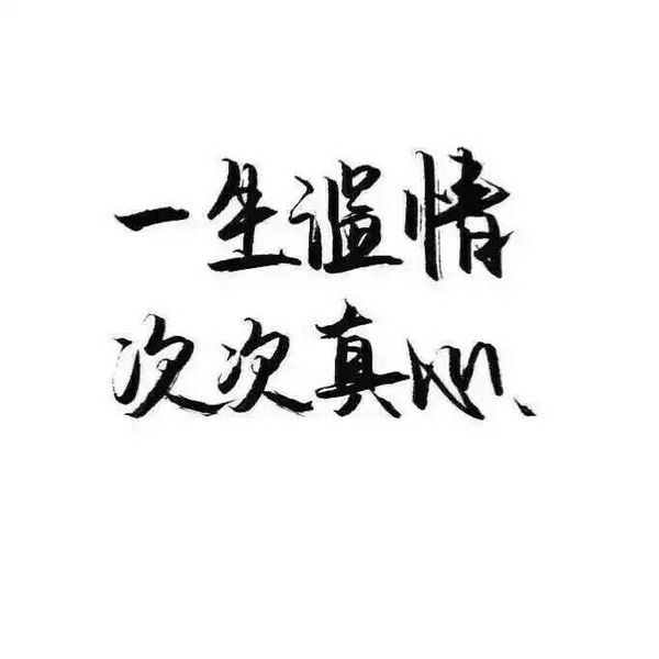我努力了你没感动又有什么用