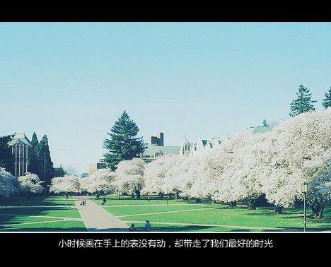 你若未死 我便还在