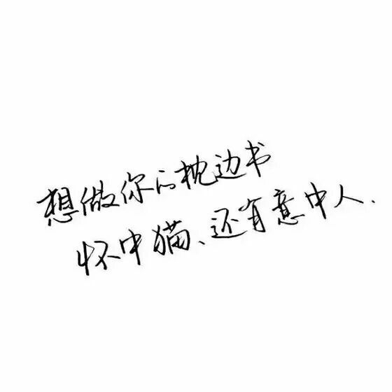 你随意玩儿 拿不住你是我没本事.