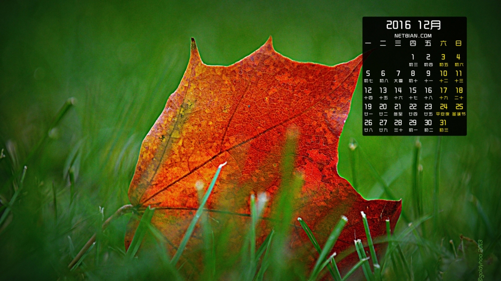 2016年12月小清新绿色护眼高清日历桌面壁纸