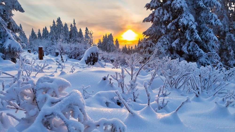 白雪皑皑唯美景色高清壁纸