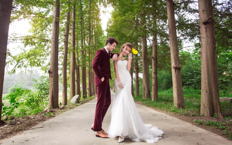 爱情森林 婚纱照