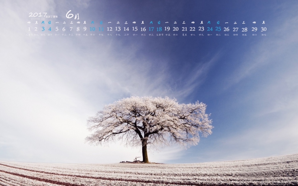 2017年6月唯美冬日雪景摄影清新高清桌面日历壁纸