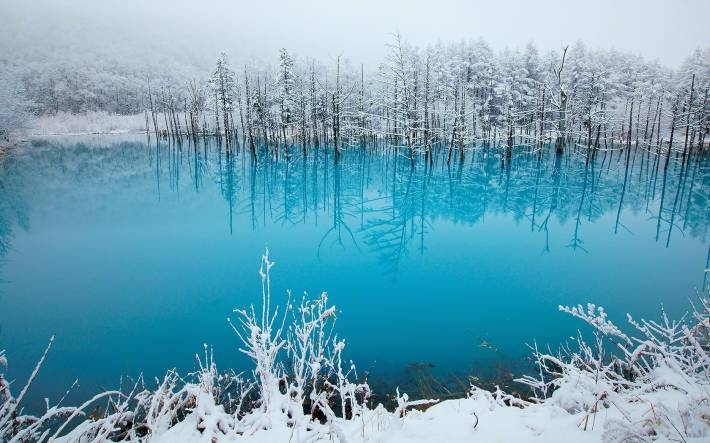 冬季雪景摄影电脑壁纸