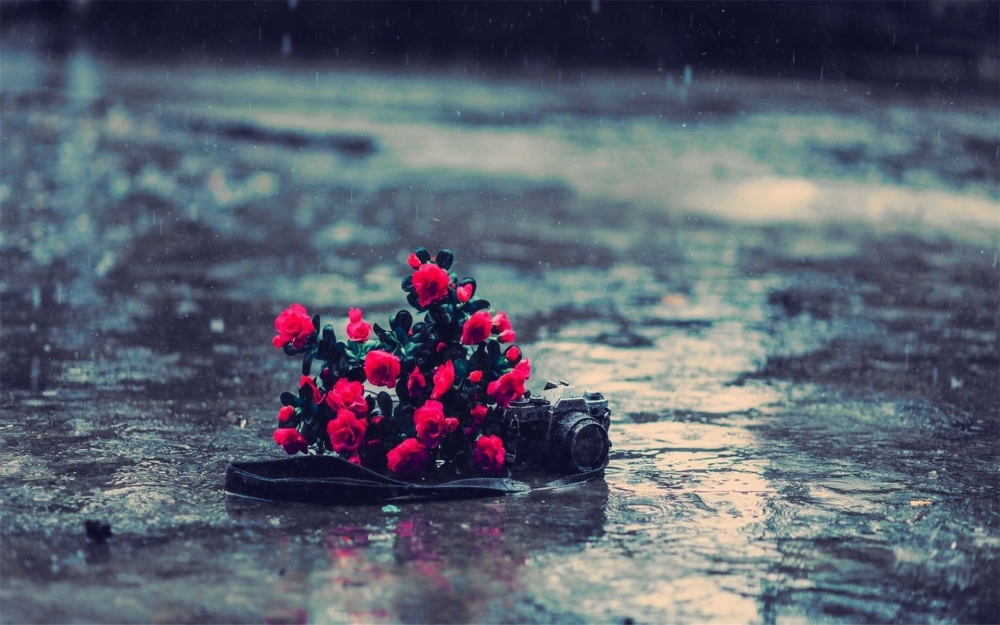 清新夏日唯美雨景高清电脑桌面壁纸