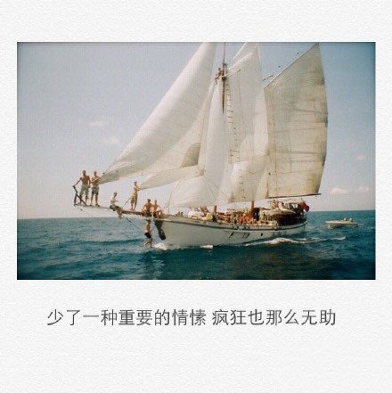 少了一种重要的情愫，疯狂也那么无助