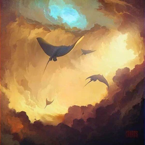 奶茶妹妹：听说 天空可以养鲨鱼