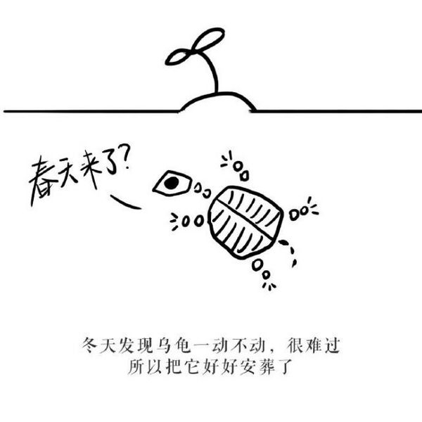 有一种善良叫做愚蠢