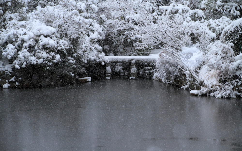 美丽雪景风光壁纸