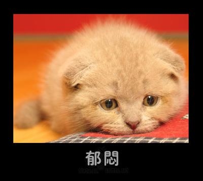小可爱 真可爱