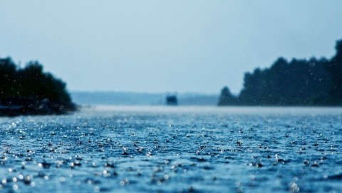 夏日雨的旋律