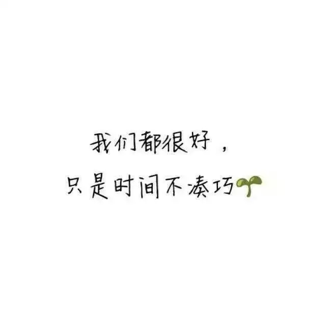 喝醉烈的酒日最野的狗
