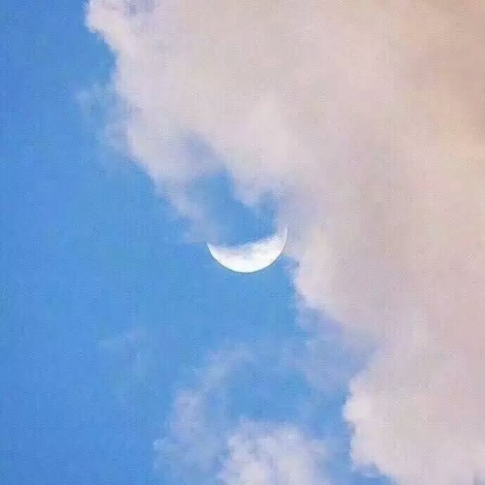 名片   背景图