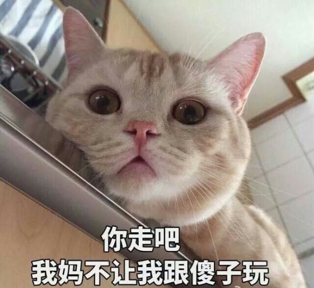 :你已经超过一分钟不理我了。