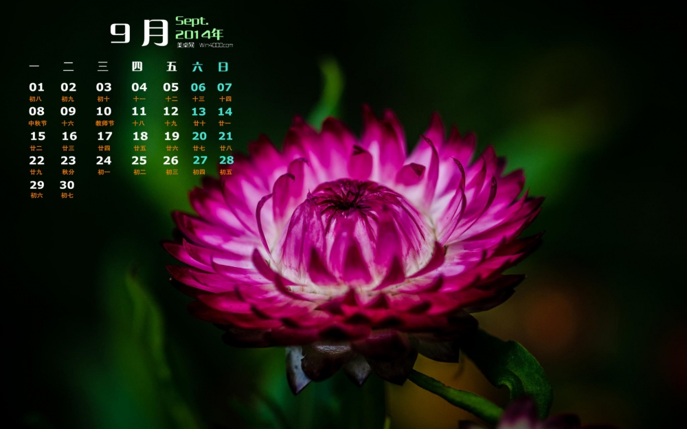 2014年9月日历清新唯美花卉图片宽屏电脑桌面主题壁纸图片