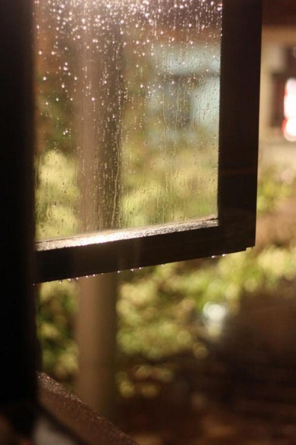 小清新的意境唯美图片   下雨天说不出的安逸