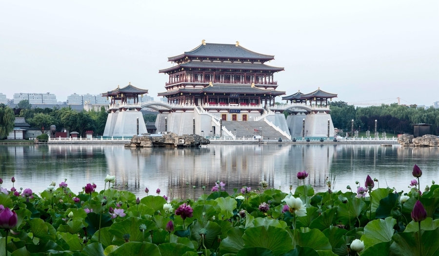 风和日丽的芙蓉园清晨图片