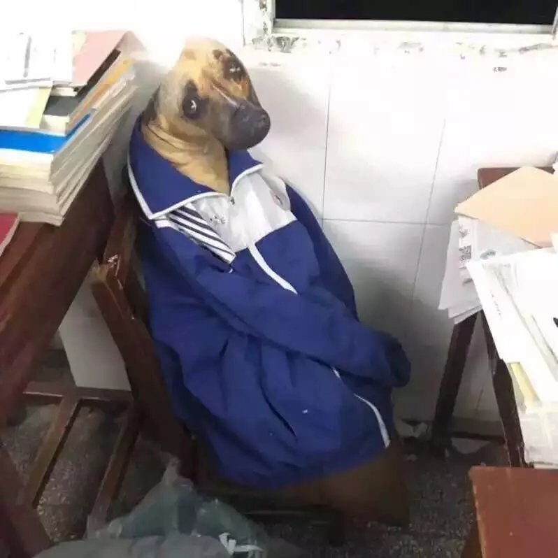 上了个厕所回来就这样了