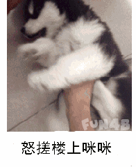 怒搓楼上咪咪
