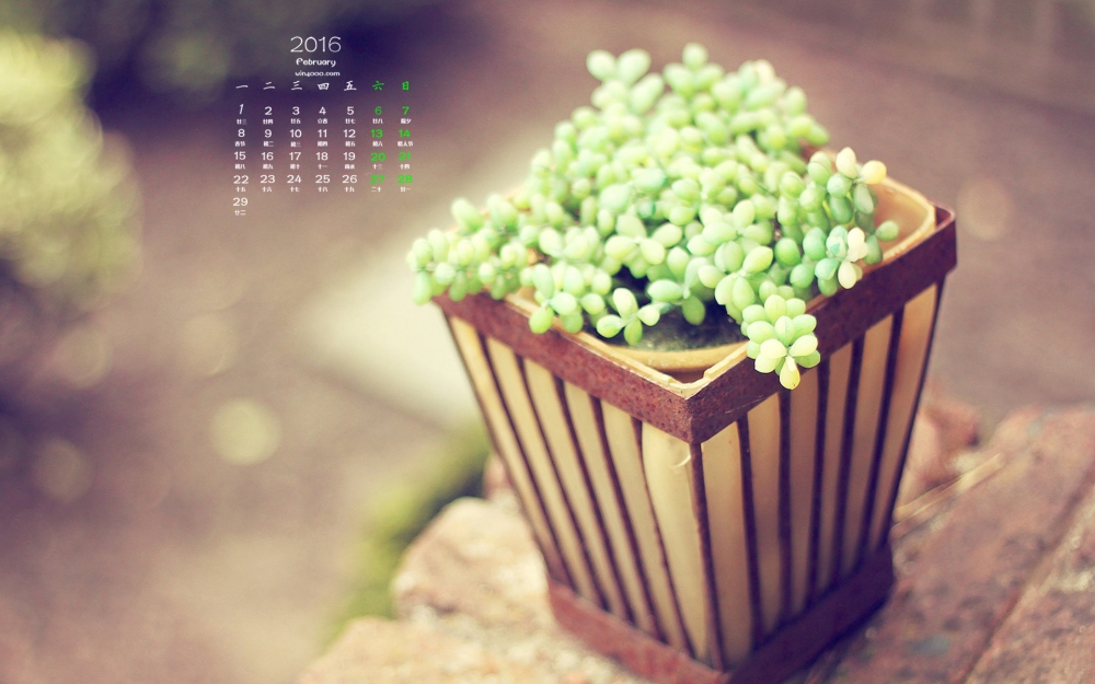 2016年2月日唯美好看的风景桌面壁纸